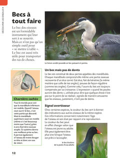 Copain des oiseaux