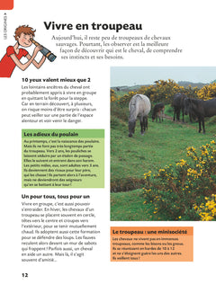 Copain des chevaux