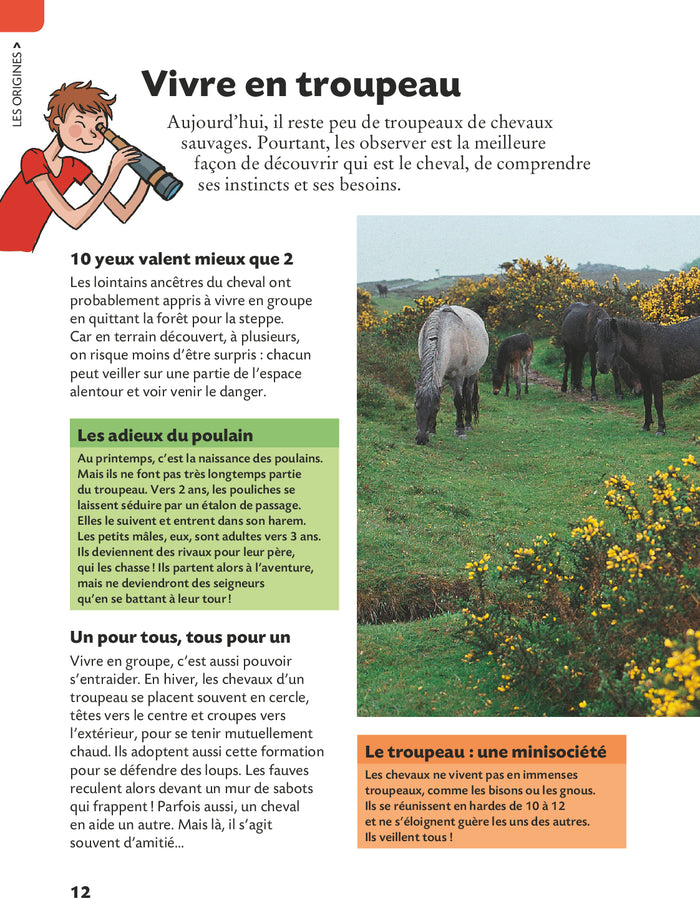 Copain des chevaux