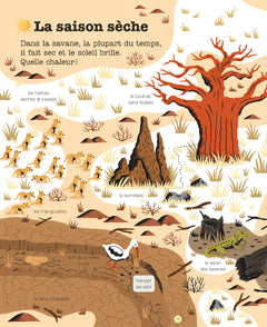 La savane et ses animaux