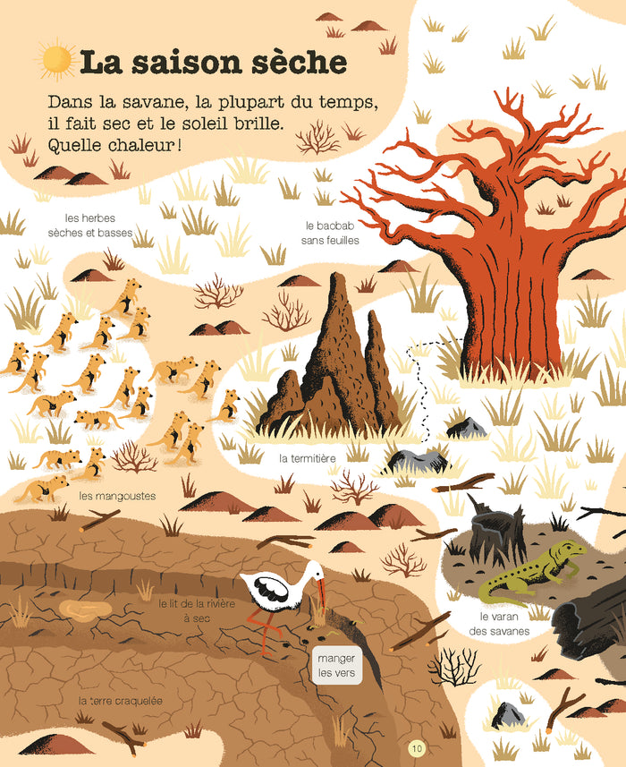 La savane et ses animaux