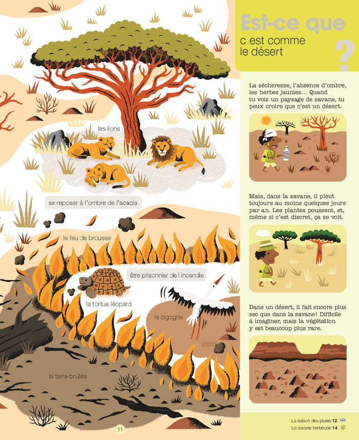 La savane et ses animaux