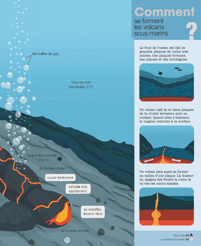 Mes années pourquoi - Les Volcans