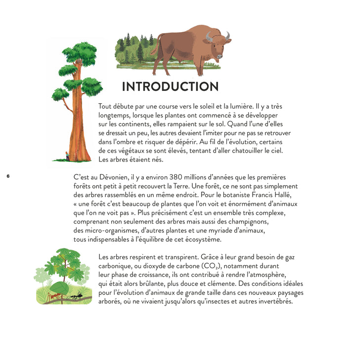 Mon atlas des arbres