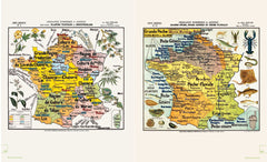 Leçons de choses & autres curiosités naturelles