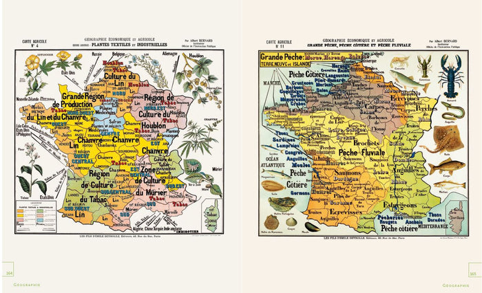 Leçons de choses & autres curiosités naturelles