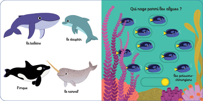 Mon imagier animé sous l'océan