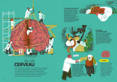 De la tête aux pieds