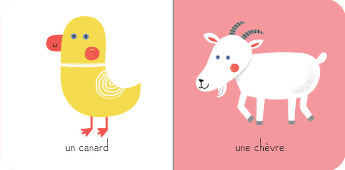 Ma boîte à trésors - Les animaux