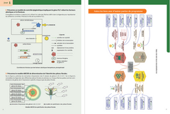 Biologie et Géologie aux concours, BCPST