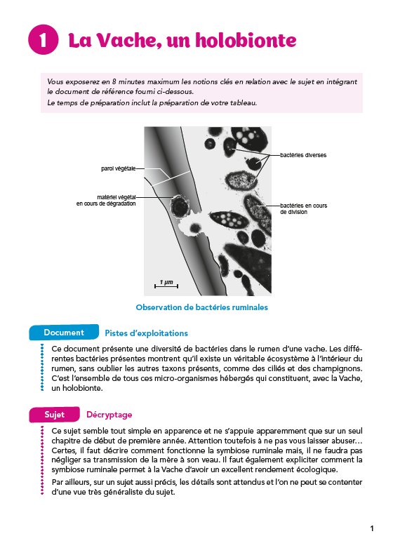 L'oral de Biologie et Biogéosciences au concours Agro-Véto