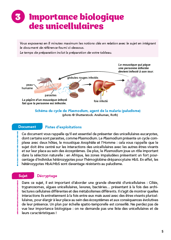 L'oral de Biologie et Biogéosciences au concours Agro-Véto