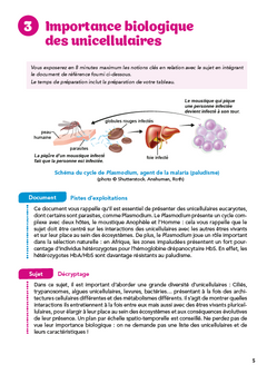 L'oral de Biologie et Biogéosciences au concours Agro-Véto