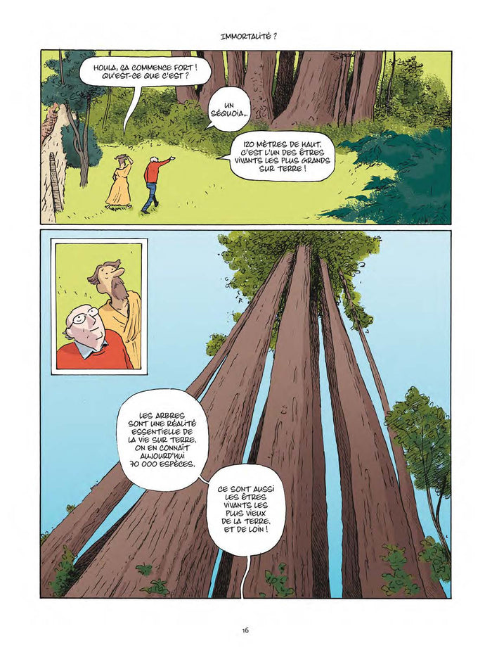 Le génie de la forêt