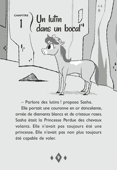 Le monde magique de Sasha, Tome 05