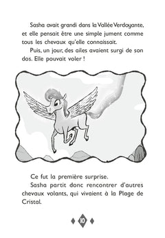 Le monde magique de Sasha, Tome 05