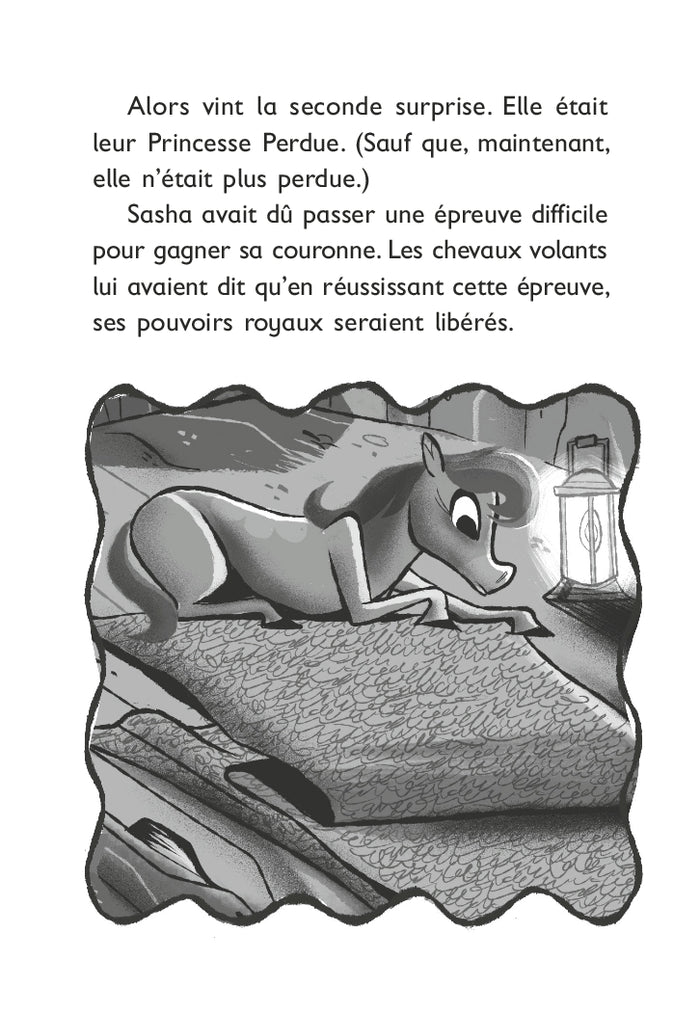 Le monde magique de Sasha, Tome 05