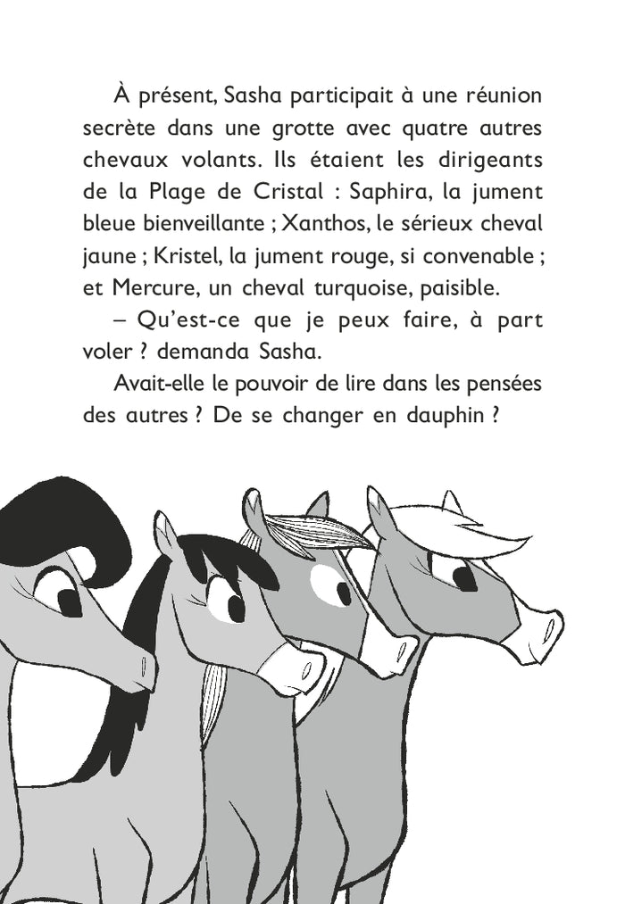Le monde magique de Sasha, Tome 05