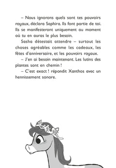 Le monde magique de Sasha, Tome 05