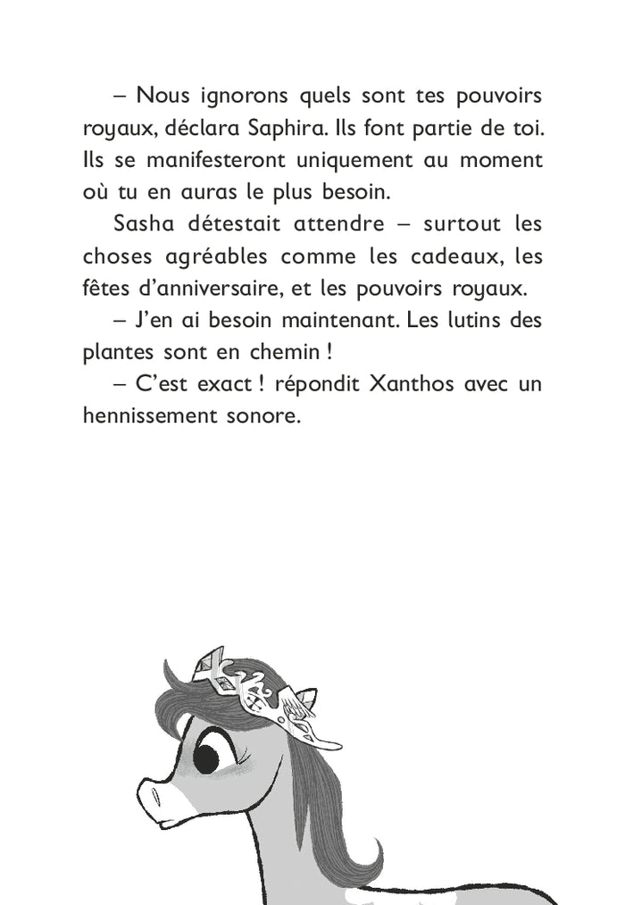 Le monde magique de Sasha, Tome 05