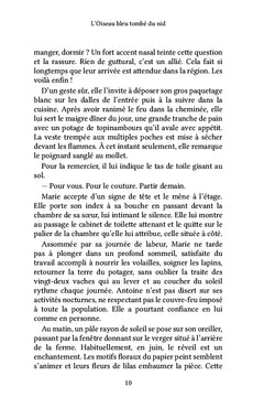 L'oiseau bleu tombé du nid