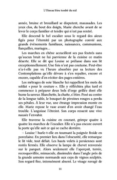 L'oiseau bleu tombé du nid