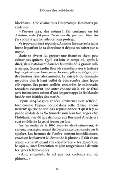 L'oiseau bleu tombé du nid