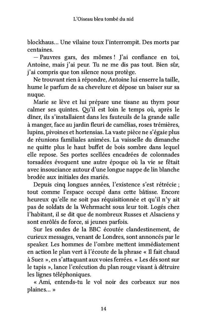 L'oiseau bleu tombé du nid