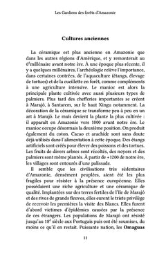 Les Gardiens des forêts d'Amazonie