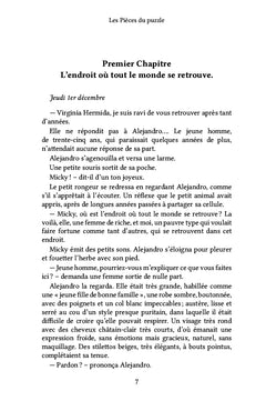 Les Pièces du puzzle