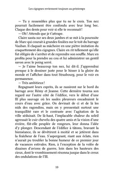 Les cigognes reviennent toujours au printemps