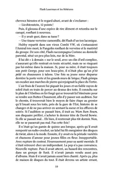 Flash Laserman et les Météores