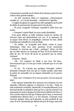 Flash Laserman et les Météores