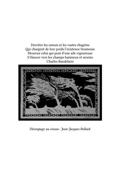 Ségure au hasard du vent