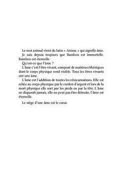 Bambou - Nos âmes reliées