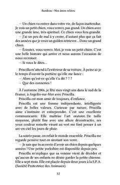 Bambou - Nos âmes reliées