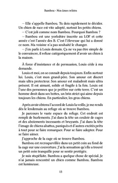 Bambou - Nos âmes reliées