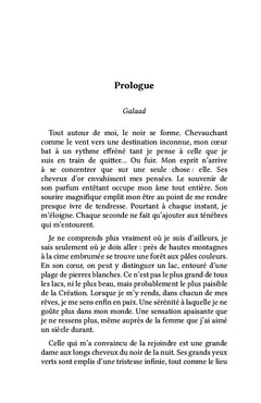 Les chroniques de Galaad