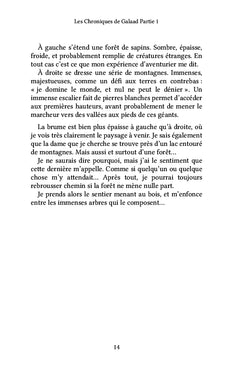 Les chroniques de Galaad