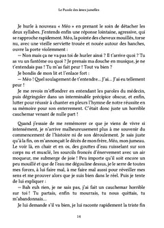 Le Puzzle des âmes jumelles