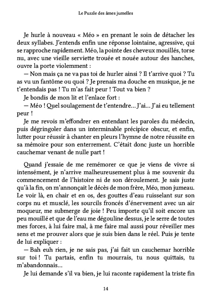 Le Puzzle des âmes jumelles