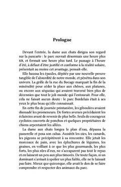 Les Petits Signes extérieurs du bonheur