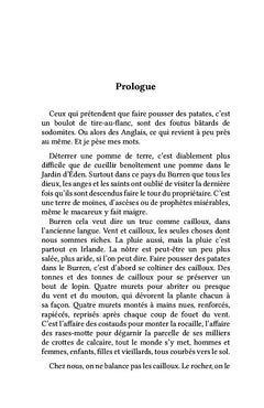 Le cavalier sombre