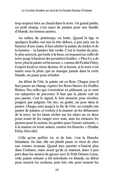 Le cavalier sombre