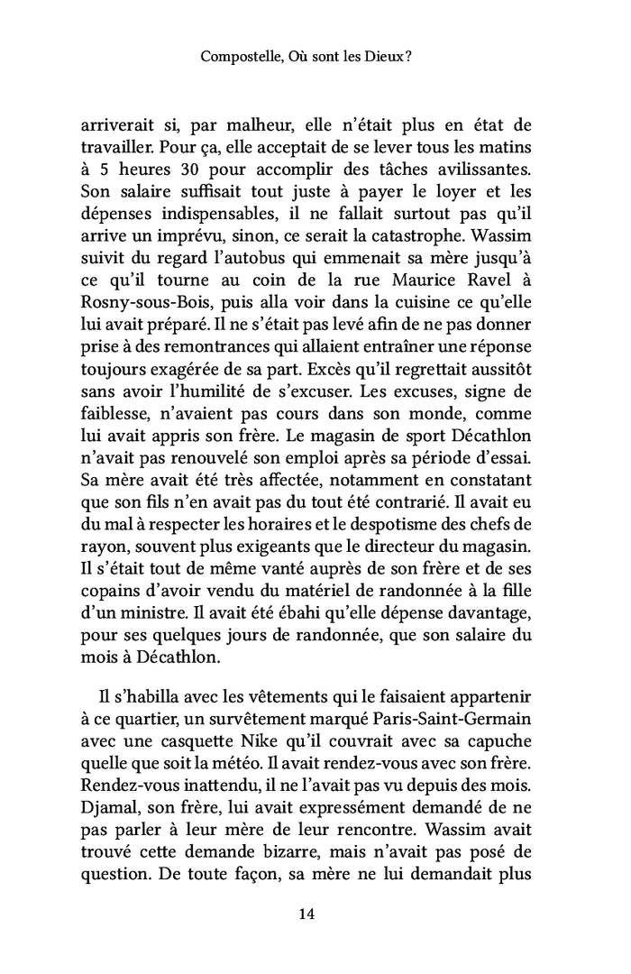 Compostelle, Où sont les Dieux ?
