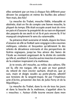 Clés sous la cendre