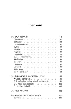 Les ailes de la passion
