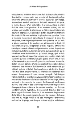 Les ailes de la passion