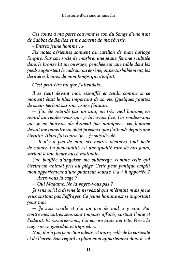 L'histoire d'un amour sans fin