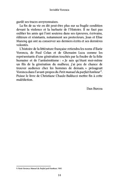 Invisible Voronca
